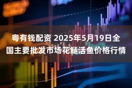 粤有钱配资 2025年5月19日全国主要批发市场花鲢活鱼价格行情