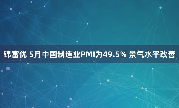 锦富优 5月中国制造业PMI为49.5% 景气水平改善