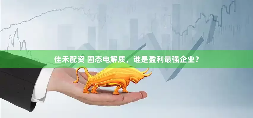 佳禾配资 固态电解质，谁是盈利最强企业？