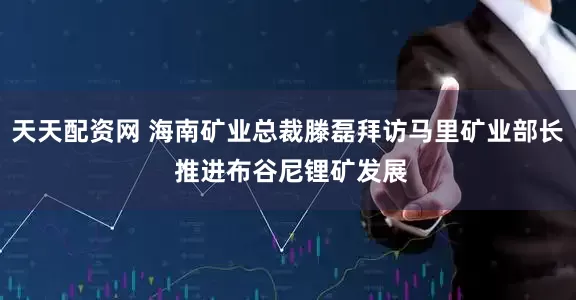 天天配资网 海南矿业总裁滕磊拜访马里矿业部长 推进布谷尼锂矿发展