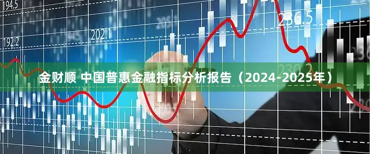 金财顺 中国普惠金融指标分析报告（2024-2025年）